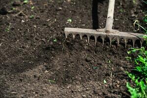 man loosens the earth with a rake photo