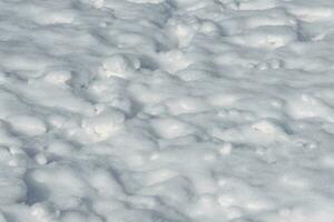 texture of beautiful white snow in the afternoon photo