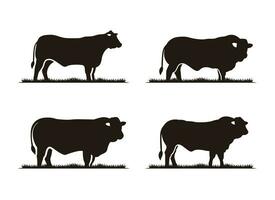 Limousin Cattle Angus and Grass Silhouette Logo Design vector