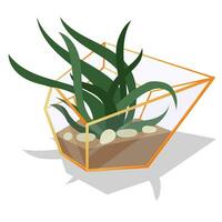 Vector illustration with a glass terrarium of a florarium highlighted in the background. Flowers in a geometric flower pot in a flat style. The plant is in a golden glass cage, a container. isolated