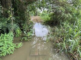 the path of the jungle in country Thailand photo