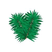 Vector green fir tree twig on white background