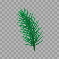 Vector pine tree branch fir twigs with green needles