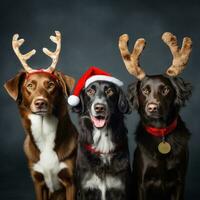 ai generado linda perro fornido lobo perrito con Navidad regalo cajas concepto foto póster alegre presente rojo nuevo año