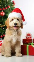 AI generated Cute dog puppy with christmas gift boxes concept photo poster merry present red new year