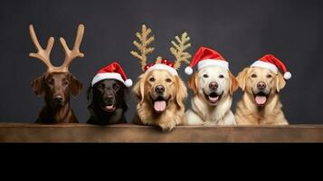 ai generado linda perro fornido lobo perrito con Navidad regalo cajas concepto foto póster alegre presente rojo nuevo año