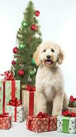 AI generated Cute dog puppy retriever with christmas gift boxes concept photo poster merry present red new year