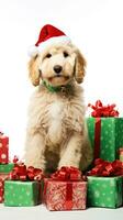 ai generado linda perro perrito perdiguero con Navidad regalo cajas concepto foto póster alegre presente rojo nuevo año