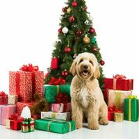 AI generated Cute dog puppy retriever with christmas gift boxes concept photo poster merry present red new year