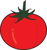 Striped tomato vector