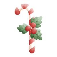 Watercolor Christmas Candy Cane Illustration png