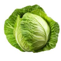 AI generated High quality photo of Fresh Green Cabbage vegetable. png