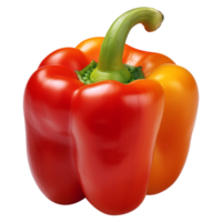 AI generated High Quality photo of bell pepper or capsicum png