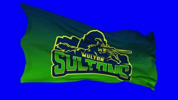 Multan Sultans, MS Flag Waving Seamless Loop in Wind, Chroma Key Blue Screen, Luma Matte Selection video