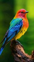 AI generated Beautiful Rare North American Bird photo