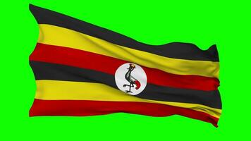 Uganda bandeira acenando desatado ciclo dentro vento, croma chave verde tela, luma fosco seleção video