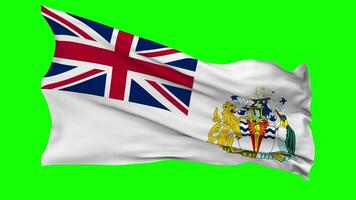 British Antarctic Territory Flag Waving Seamless Loop in Wind, Chroma Key Green Screen, Luma Matte Selection video