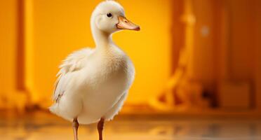 AI generated Cute duckling with fluffy feathers standing, looking at camera generated by AI photo