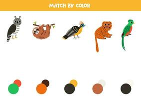 partido sur americano y colores. educativo hoja de cálculo para niños. linda dibujos animados arpía águila, ranura, hoatzín, tamarin y quetzal. vector