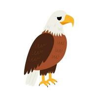 Vector illustration of cute cartoon bald eagle isolated on white background.