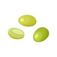 Three fruits of green olives in cartoon style. One olive is cut in half, the pit is visible. vector