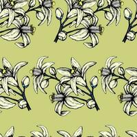 Vector illustration of a seamless pattern of orange flowers on a green background. Neroli buds for fabric, wrapping paper or stationery