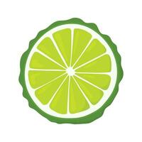 Slice round kaffir lime, bumpy green bergamot, seasoning for Asian cuisine. Recipe icon. vector