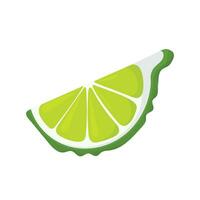 Kaffir lime wedge, bumpy green bergamot, Asian seasoning. Recipe icon. vector