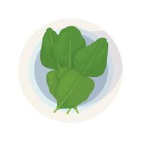 kaffir lime leaves lie on a plate, seasoning for asian cuisine. Recipe icon. vector