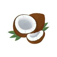 Coconut whole and split in half, and a piece. Cartoon coconut icon. Coconut milk. vector