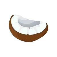 A piece of coconut and coconut palm products. Cartoon pulp and coconut shell. vector