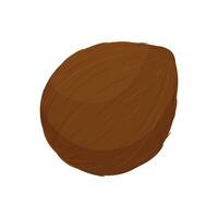 Whole coconut brown and hairy and palm tree coconut products. Cartoon pulp, milk and coconut shell. vector