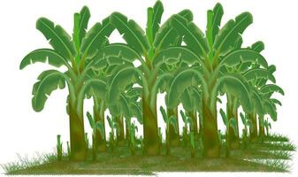 Banana tree garden with grass vector design