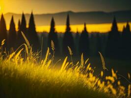 AI generated Abstract soft focus sunset field landscape of yellow flowers and grass meadow warm golden hour sunset sunrise time. Tranquil spring summer nature closeup and blurred forest background. photo