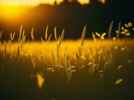 AI generated Abstract soft focus sunset field landscape of yellow flowers and grass meadow warm golden hour sunset sunrise time. Tranquil spring summer nature closeup and blurred forest background. photo