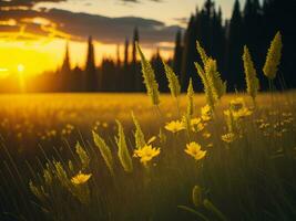 ai generado resumen suave atención puesta de sol campo paisaje de amarillo flores y césped prado calentar dorado hora puesta de sol amanecer tiempo. tranquilo primavera verano naturaleza de cerca y borroso bosque antecedentes. foto