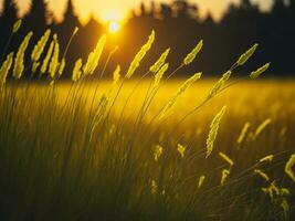 AI generated Abstract soft focus sunset field landscape of yellow flowers and grass meadow warm golden hour sunset sunrise time. Tranquil spring summer nature closeup and blurred forest background. photo