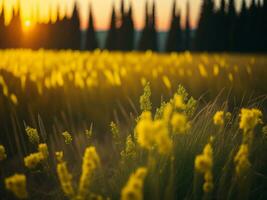 ai generado resumen suave atención puesta de sol campo paisaje de amarillo flores y césped prado calentar dorado hora puesta de sol amanecer tiempo. tranquilo primavera verano naturaleza de cerca y borroso bosque antecedentes. foto