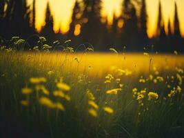 AI generated Abstract soft focus sunset field landscape of yellow flowers and grass meadow warm golden hour sunset sunrise time. Tranquil spring summer nature closeup and blurred forest background. photo