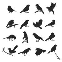 Sparrow silhouette illustration, Flying sparrow vector