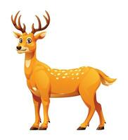 Deer cartoon vector illustration isolated on white background