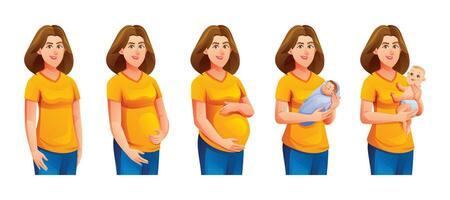 Pregnancy stages. Pregnant woman and newborn baby. Changes in female body during pregnancy. Vector illustration