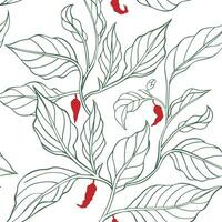 Chili pepper seamless pattern, line pattern on spices for kitchen or fabric vector