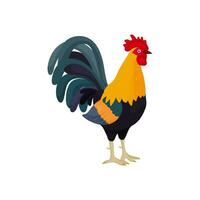 rooster in cartoon style with blue feathers in the tail. Bright rooster as a symbol or mascot for children's books and postcards with letters. vector