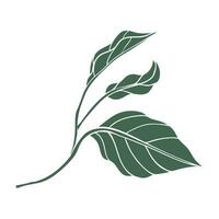 Chili pepper leaves icon. Color silhouette of green leaf vector