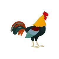 Rooster in cartoon style with green feathers. Bright rooster as a symbol or mascot for children's books, clothing design and postcards with letters. vector