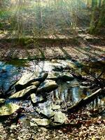 Cold fall day hiking along stream photo