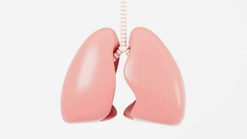 The lungs that are breathing in the white background, 3d rendering. video