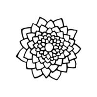 Lotus round abstract botanical texture. Hand-drawn texture in a circle. Vector