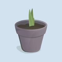 tulip sprout in a pot vector